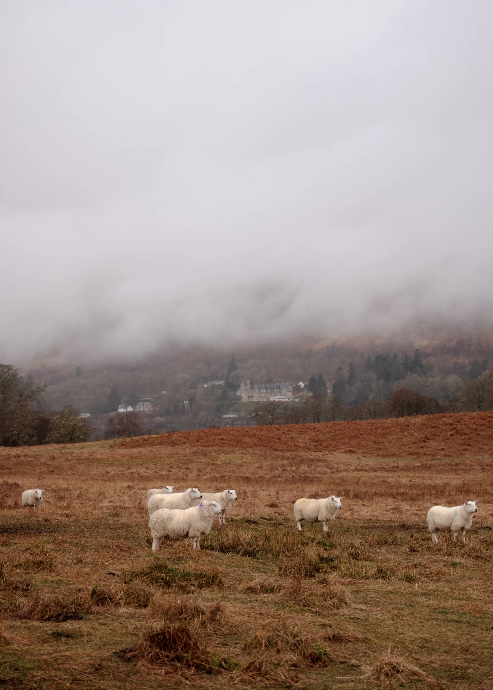 Highlands, Schottland, Fotografie von Wim Jansen Delgado
