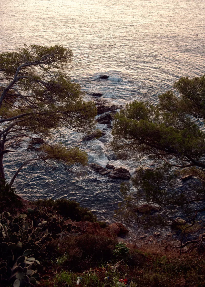 Felsbucht mit Pinien, Costa Brava, Reisefotografie von Wim Jansen Delgado