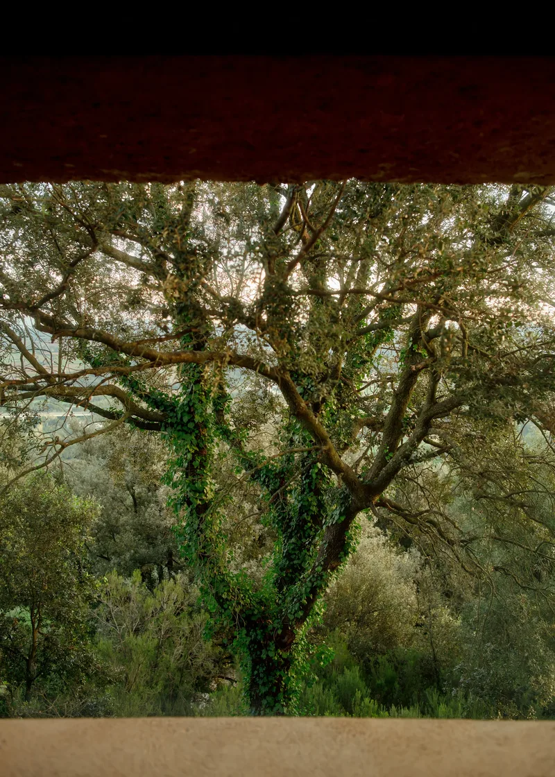 HOTEL, Fotografie von Wim Jansen Delgado