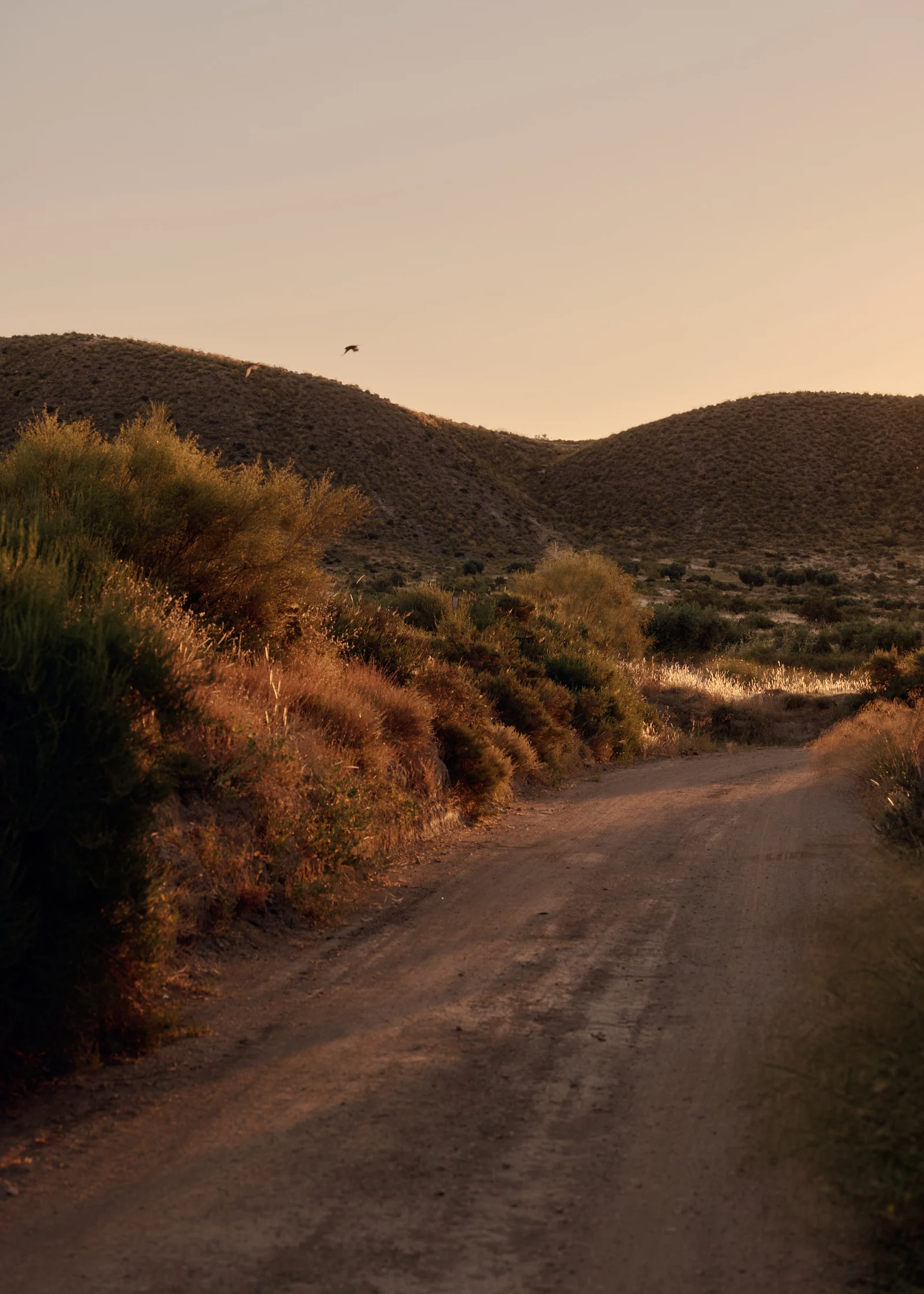 Fort Bravo, Andalucía, photography by Wim Jansen Delgado